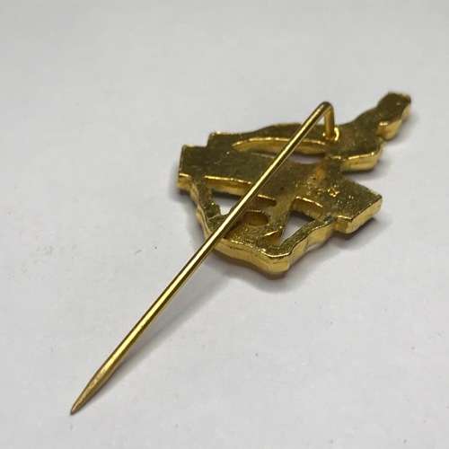 5 Year Republic Festival Pin Badge