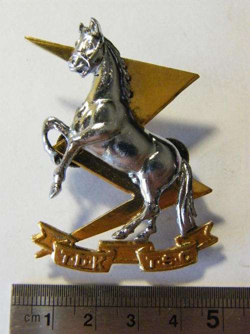 TDK / TSC Cap badge - as per photo