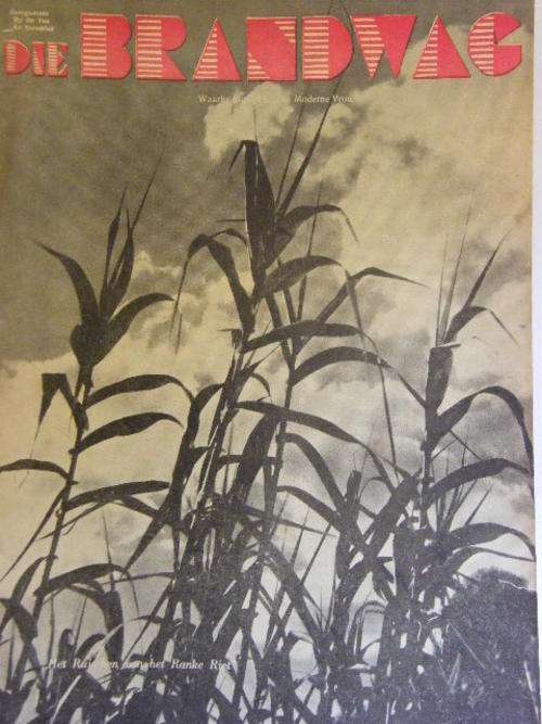 Die Brandwag Magazine  1 April 1938 Issue " Het Ruischen van het Ranke Riet " - as per photo