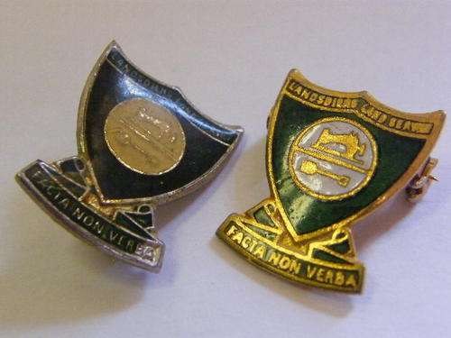 2 ' Landsdiens ' Pin Badges - as per photo