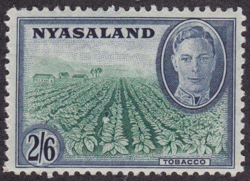 Nyasaland Gibbons 154 unhinged mint 2/6 - as per scan