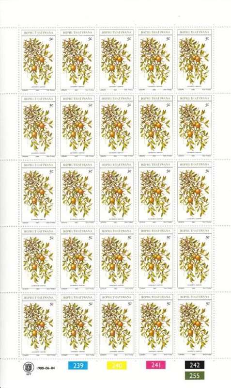 Bophuthatswana - SACC 56-59 Full pages of mint and used Stamps, Edible Wild Fruit - as per scan