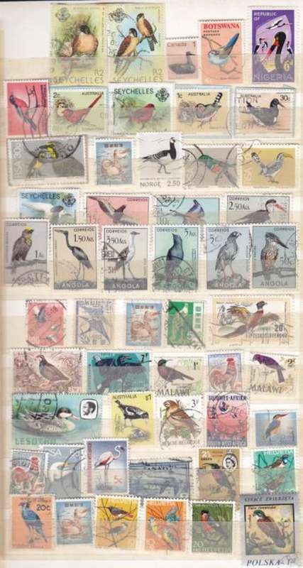 Lot of 52 Bird Stamps - all Different - as per scan