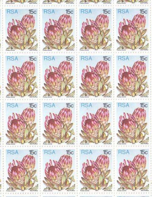 SACC 428 - Full Mint Sheets - 731-732-733-734-722 AandB Set, 15c Protea, as per scan