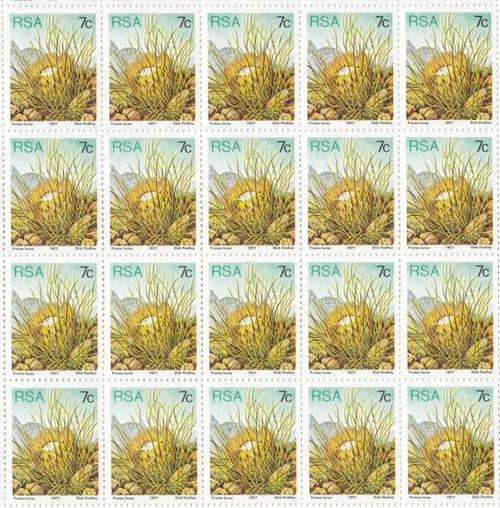 SACC 424 Full Mint Sheet Protea 7 cent 19-09-1980, as per scan