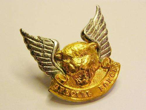 Transkei Special Forces Cap Badge - as per photo