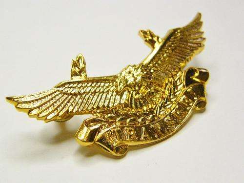 Transkei Air Wing Cap Badge - as per photo
