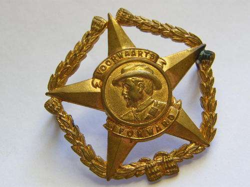 Regiment Botha Cap Badge - as per photo