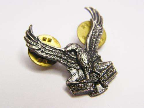 SWA Air Force collar badge - as per photo