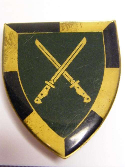 SA Infantry metal shoulder flash - as per photo