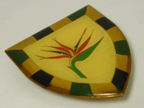 6 SA infantry battalion shoulder flash - as per photo