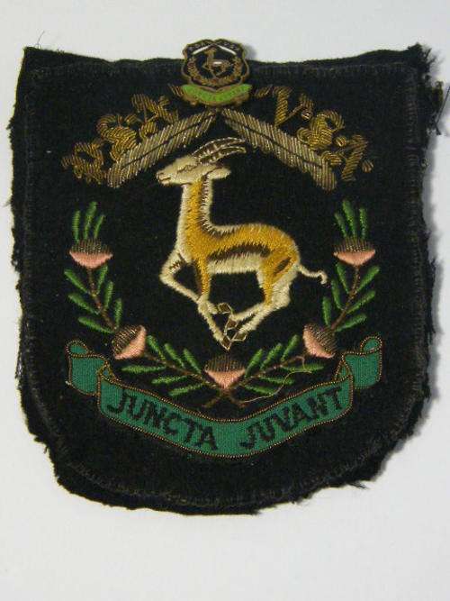 Vintage PSA VSA (public servant's association) blazer badge & pin badge - as per photo