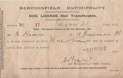 1912 Dog Licence - Beaconsfield municipality - Licence no 17 - as per photo