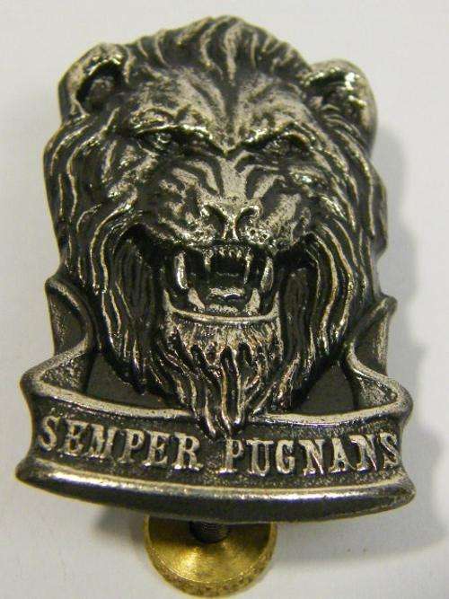 SWA Reaction force cap badge - as per photo