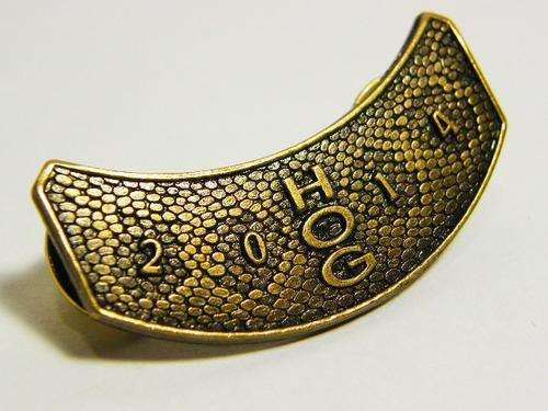 Harley Owners Group HOG 2014 pin badge - as per photo