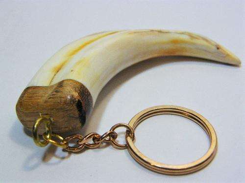 Vintage warthog tooth key ring holder - as per photo