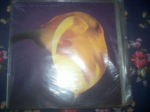 The swans lp