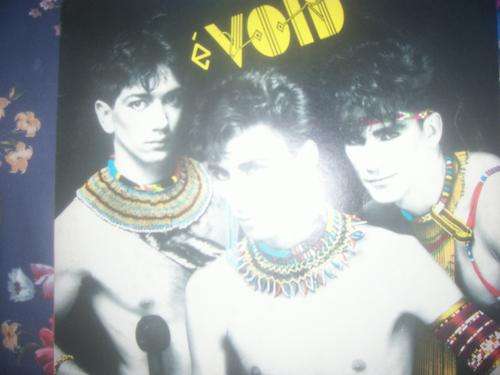 evoid south african press lp