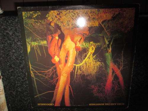 Echo and the bunnymen import lp