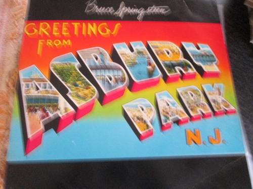 bruce springsteen south african lp