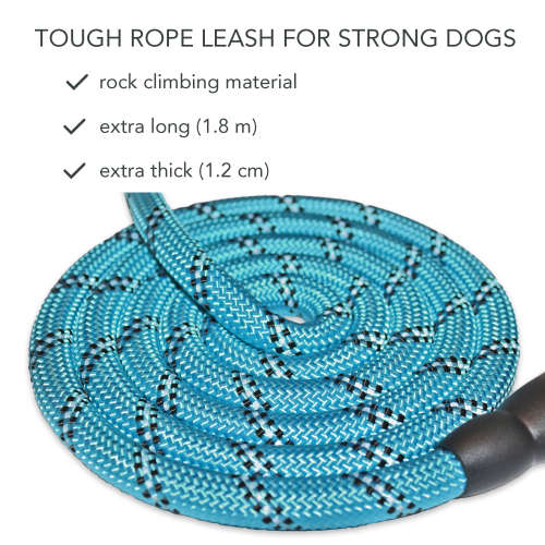 Yowie  Dog Leash / Lead  Heavy Duty, 1.8M Long, Padded Handle (Blue)