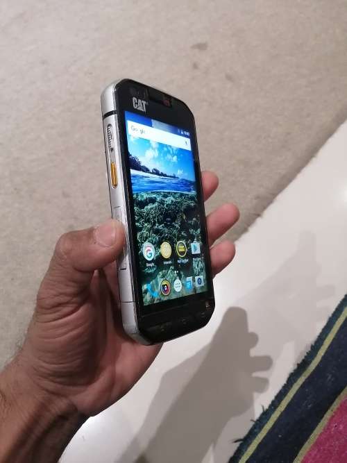 Cat s60