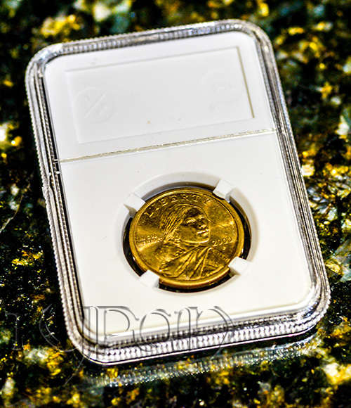 NGC styled COIN DISPLAY SLAB for 27mm coins