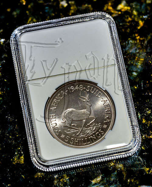 NGC styled COIN DISPLAY SLAB for 38.5mm silver Kruger coins