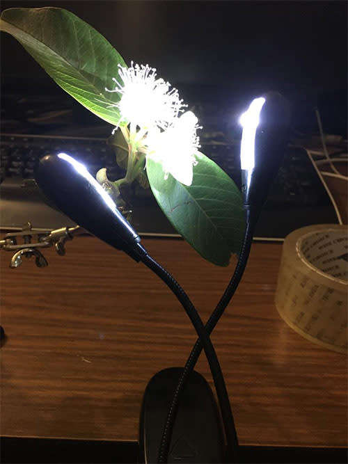 2 Arms 4 LEDs Flexible Book Lamp Light for macrophotography
