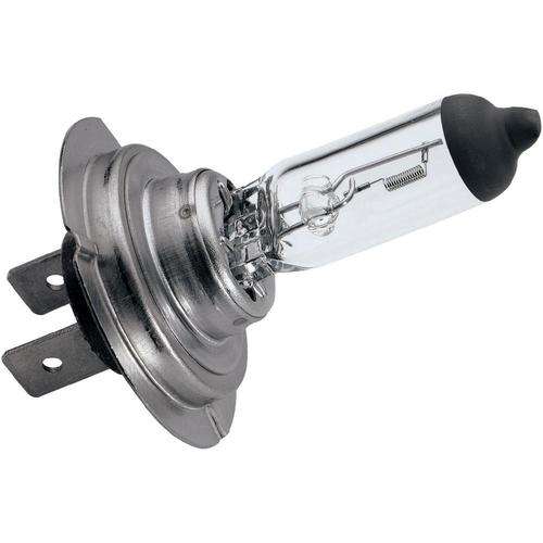 Halogen Globe H7 - 12v 55w