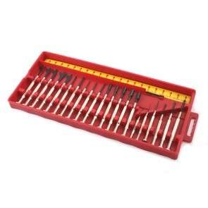 21 Piece Precision Toolset