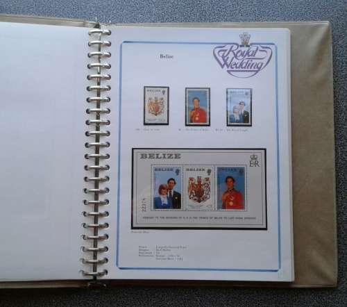 STUNNING 1981 ROYAL WEDDING COLLECTION GUTTER PAIRS, M/SHEETS, ETC. CV R4,650+