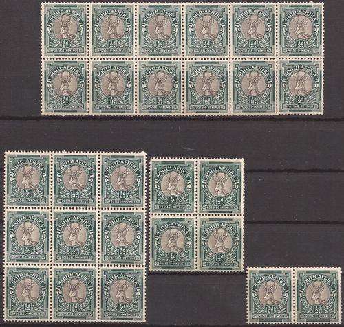 LOVELY UMM SPRINGBOK UNION 1/2d BLOCKS SELECTION.