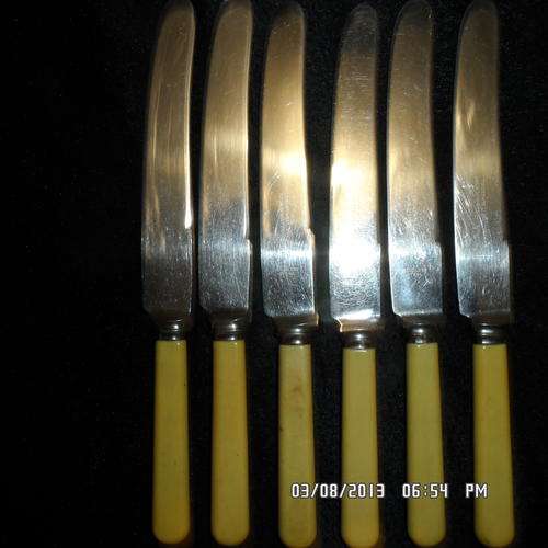 SIX BONE HANDLED DINNER KNIFES