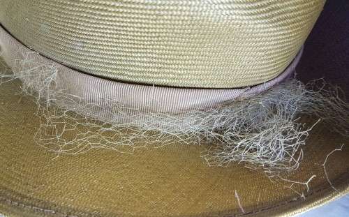 Vintage Picture Hat