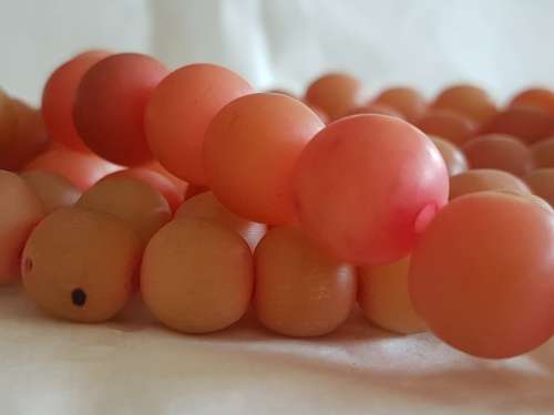 Coral beads