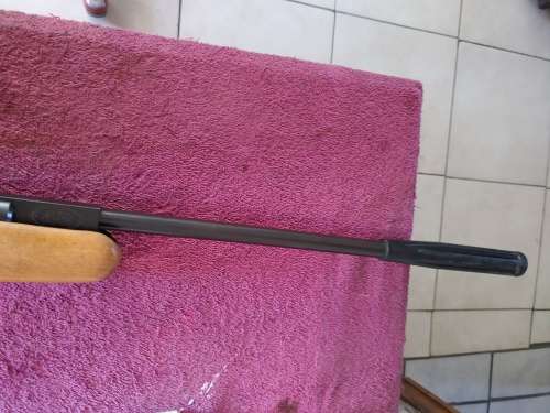 pellet gun air rifle Crosman venom