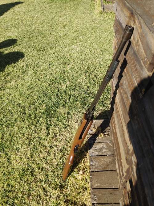 pellet gun Air rifle BAM 3