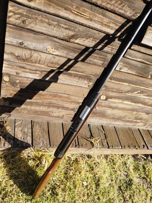 pellet gun Air rifle BAM 3