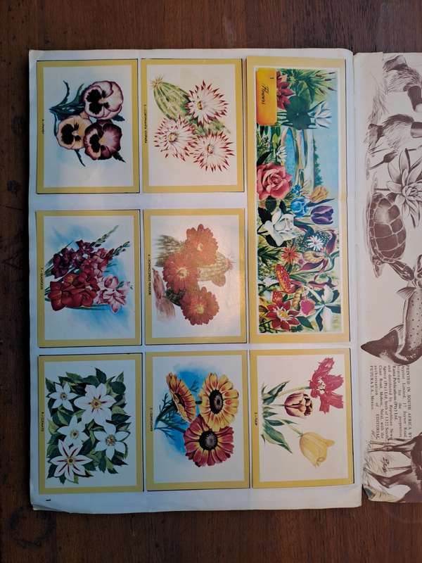 Naturama vintage stcker book 1970's