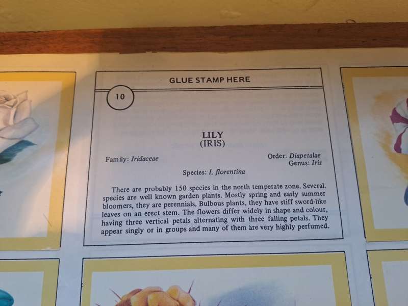Naturama vintage stcker book 1970's
