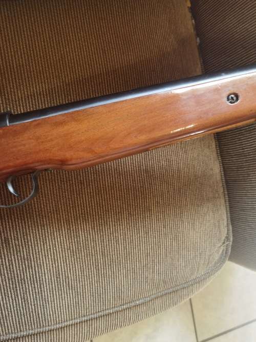Air rifle Pellet gun