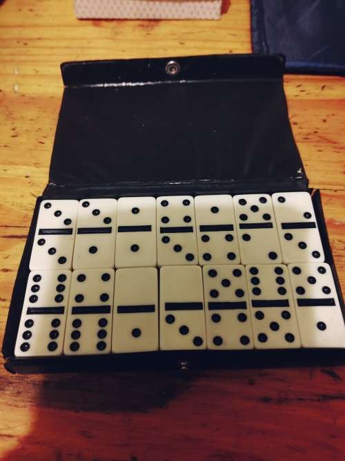 Domino`s set in vinal case