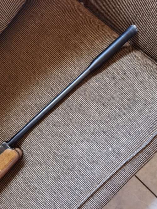 Air rifle Pellet gun