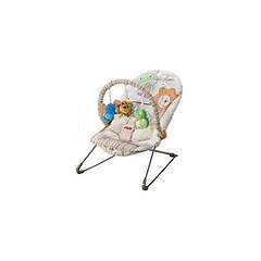 Fischer Price Soothe 'n Play Bouncer