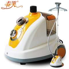Professional garment steamer