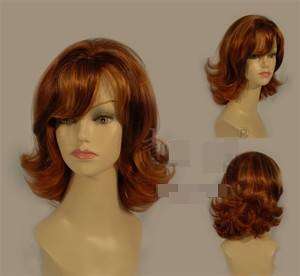 Fashionable Multi Tone Chestnut Wig & Wig Cap!