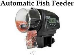 Automatic Fish Feeder! Never forget to feed your fish again!