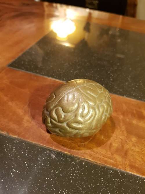 Cast Bronze Brain Shape Paper Weight