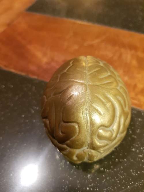 Cast Bronze Brain Shape Paper Weight